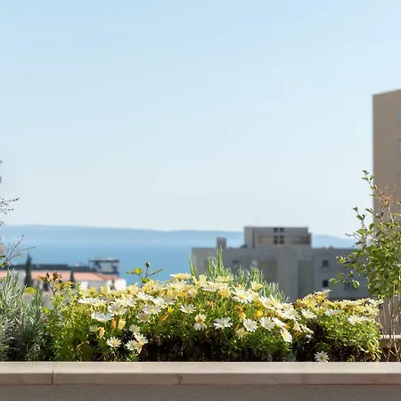 Spalato Luxury * Split